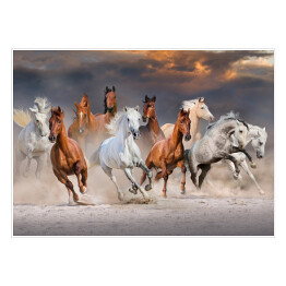 Stado koni galopujących w pustynnym kurzu podczas zachódu słońca