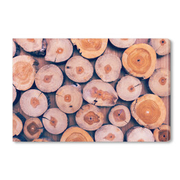 Obraz na płótnie Duże drewniane kłody