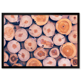 Plakat w ramie Duże drewniane kłody