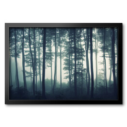 Obraz w ramie Mgła w mrocznym lesie