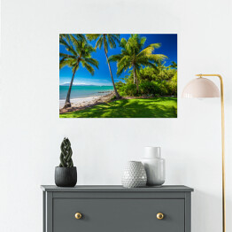 Plakat samoprzylepny Rex Smeal Park w Port Douglas z palmami i plażą