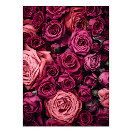 Plakat samoprzylepny Tło z pięknych róż