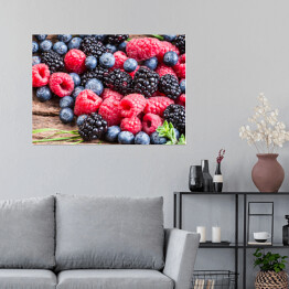 Plakat samoprzylepny Świeże jagody, czernica, malina i jeżyna 