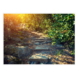 Plakat samoprzylepny Ścieżka w lesie, wieś Eze, Francja