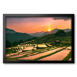 Obraz w ramie Wieczorny krajobraz z tarasów ryżowych