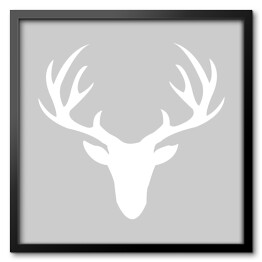 Obraz w ramie Biała głowa jelenia na szarym tle