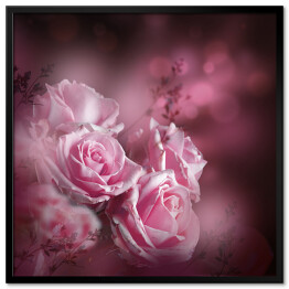 Plakat w ramie Piękne różowe róże i motyl