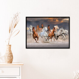 Plakat w ramie Stado koni galopujących w pustynnym kurzu podczas zachódu słońca