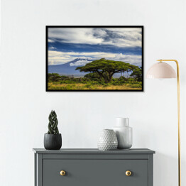 Plakat w ramie Piękny krajobraz Afryki na tle Kilimandżaro