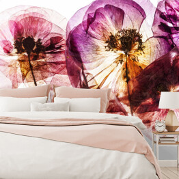Fototapeta winylowa zmywalna Suche kwiaty maku w odcieniach różu i fioletu