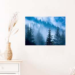 Plakat Sosnowy las w niebieskiej mgle