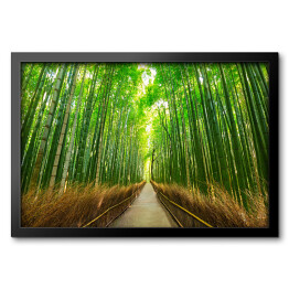 Obraz w ramie Bambusowy las w Kyoto