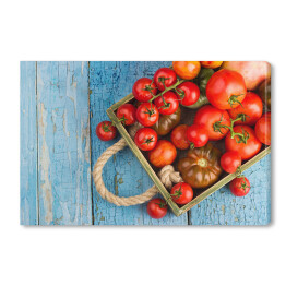 Obraz na płótnie Zbiór różnych rodzajów czerwonych pomidorów
