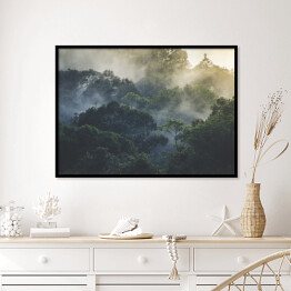 Plakat w ramie Tropikalny las deszczowy we mgle, Azja