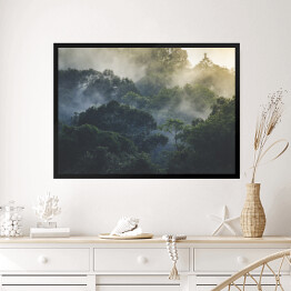 Obraz w ramie Tropikalny las deszczowy we mgle, Azja
