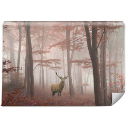 Fototapeta winylowa zmywalna Jeleń w lesie we mgle jesienią