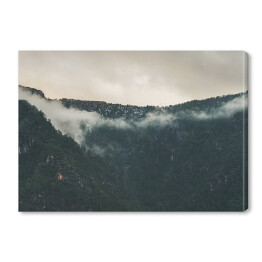 Obraz na płótnie Szare niebo nad mglistym lasem