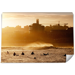 Fototapeta winylowa zmywalna Surfiarze czekający na fale podczas zachodu słońca w Bondi Beach