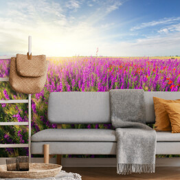 Fototapeta winylowa zmywalna Fioletowe wiosenne kwiaty na łące 