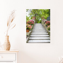 Plakat Piękne kamienne schodki z kwiatami w garnkach 