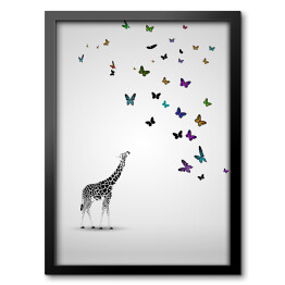 Obraz w ramie Mała żyrafa patrząca na motyle