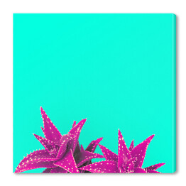 Obraz na płótnie Fioletowe liście na niebieskim tle