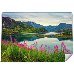 Fototapeta winylowa zmywalna Widok na norweski fiord, skaliste wybrzeże, pochmurne błękitne niebo i kwitnące różowe kwiaty