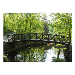 Plakat samoprzylepny Stary drewniany most w parku wiosną