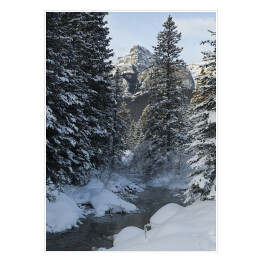 Plakat samoprzylepny Rzeka w śnieżnym lesie, Kanada