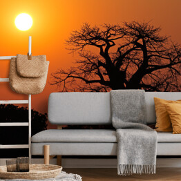 Fototapeta winylowa zmywalna Baobab na tle słońca, Południowa Afryka