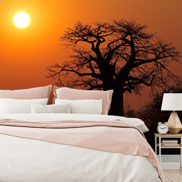 Fototapeta Baobab na tle słońca, Południowa Afryka