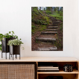 Plakat Drewniane schody jako część szlaku turystycznego w lesie