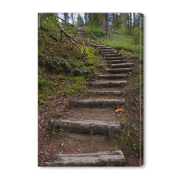 Obraz na płótnie Drewniane schody jako część szlaku turystycznego w lesie