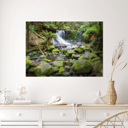 Plakat Russell Falls, Mount Field National Park, Tasmania, Australia