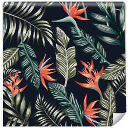 Tapeta samoprzylepna w rolce Barwne liście palmy na ciemnym tle