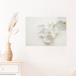 Plakat samoprzylepny Romantyczna gałąź białej orchidei