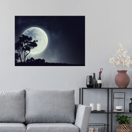 Plakat samoprzylepny Zarys drzewa na tle pełni Księżyca