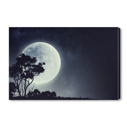Obraz na płótnie Zarys drzewa na tle pełni Księżyca
