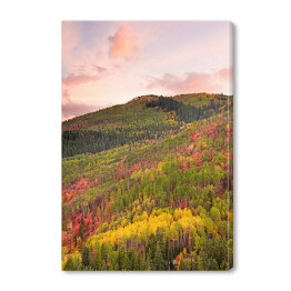 Obraz na płótnie Kolorowy las wokół Wasatch Mountains of Utah
