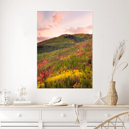 Plakat Kolorowy las wokół Wasatch Mountains of Utah