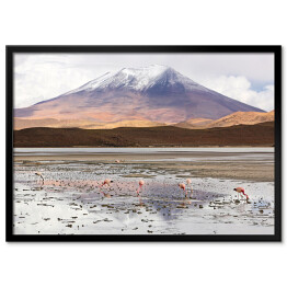 Plakat w ramie Laguna Hedionda z flamingami, Boliwia