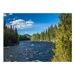 Plakat samoprzylepny Rzeka w Wells Grey Provincial Park, Kolumbia Brytyjska