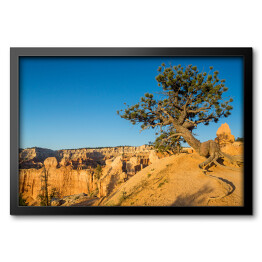 Obraz w ramie Widok w Parku Narodowym Bryce Canyon, Utah