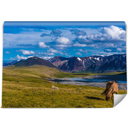 Fototapeta samoprzylepna Krajobraz w Altai Tavan Bogd, Mongola