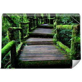 Fototapeta Stary uroczy drewniany most w lesie porośnięty bluszczem