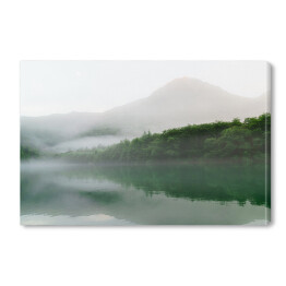 Obraz na płótnie Góry i las w mglisty, deszczowy dzień