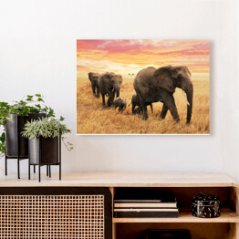 Obraz na płótnie Rodzina słoni na ścieżce na sawannie
