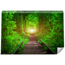 Fototapeta samoprzylepna Tory kolejowe w lesie
