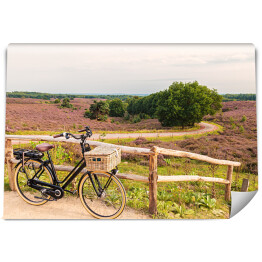 Fototapeta Rower z wiklinowym koszem w Parku Narodowym The Veluwe, Holandia