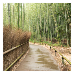 Plakat samoprzylepny Mostek w bambusowym lesie w Kioto